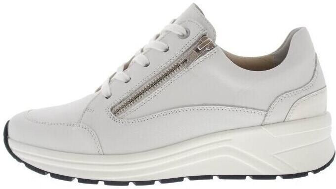 Solidus Sneakers Holly
