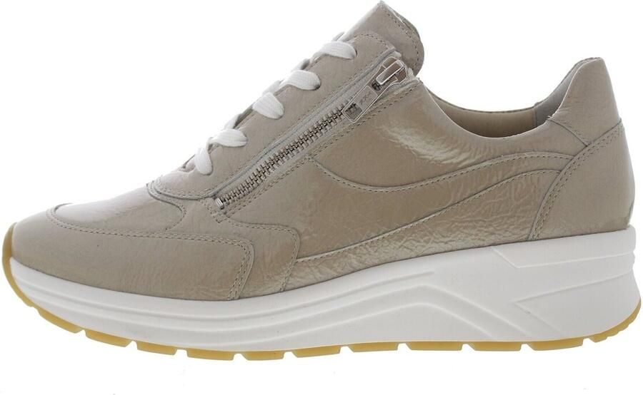 Solidus Sneakers Holly