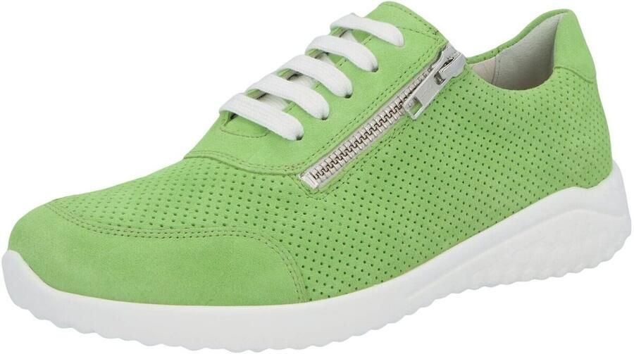 Solidus Sneakers Hyle