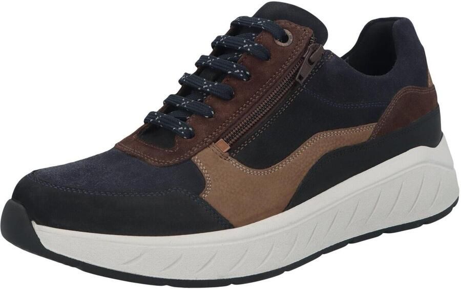 Solidus Sneakers Ken