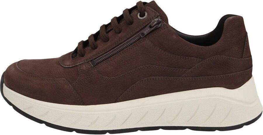 Solidus Sneakers Ken