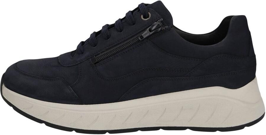 Solidus Sneakers Ken