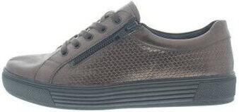 Solidus Sneakers Kendal