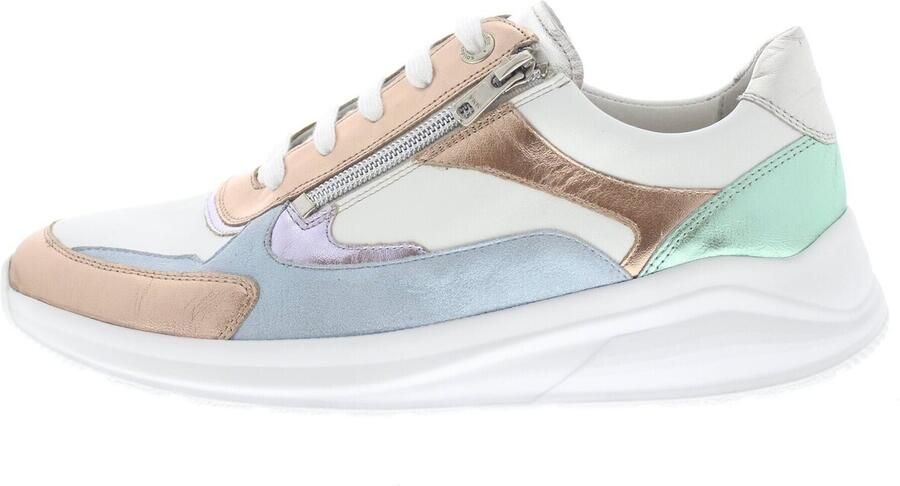 Solidus Sneakers Kitty