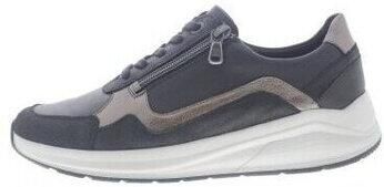 Solidus Sneakers Kitty