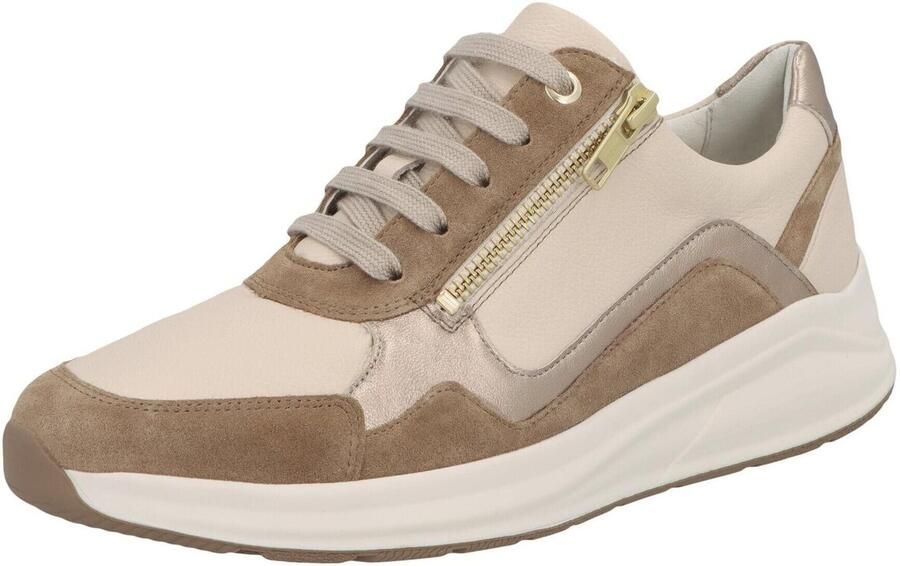 Solidus Sneakers Kitty