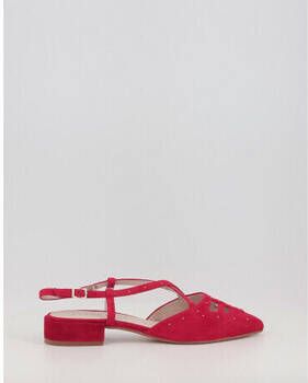 Stephen Allen Nette Schoenen LIBBY