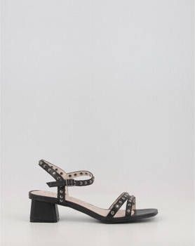 Stephen Allen Sandalen MAHA