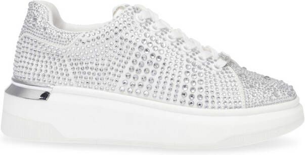 Steve Madden Sneakers Baskets femme Globes