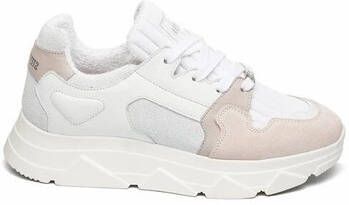 Steve Madden Sneakers Baskets femme Poppy