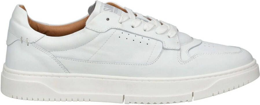 Steve Madden Lage Sneakers Sneaker