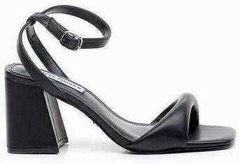 Steve Madden Sandalen STE-E25-LAYNEY-BL