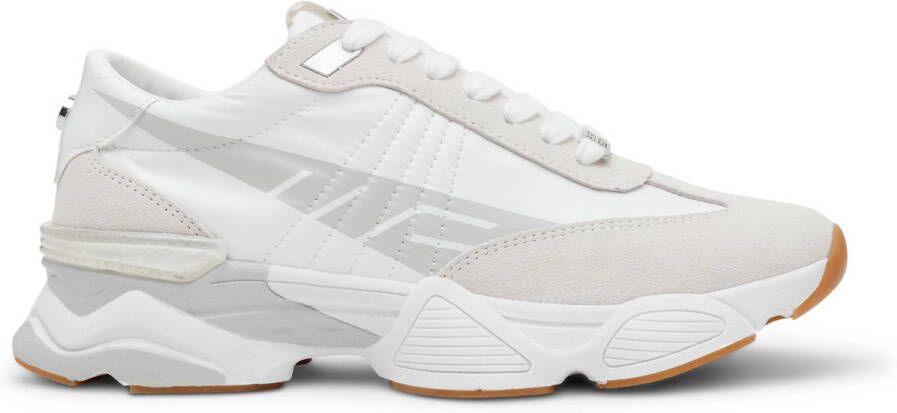 Steve Madden Sneakers Baskets femme Setback