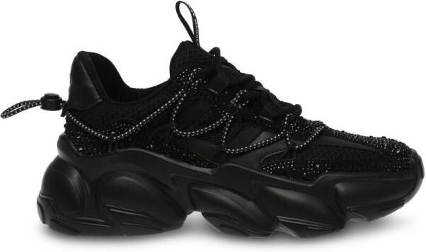 Steve Madden Sneakers Baskets femme Spectator-R