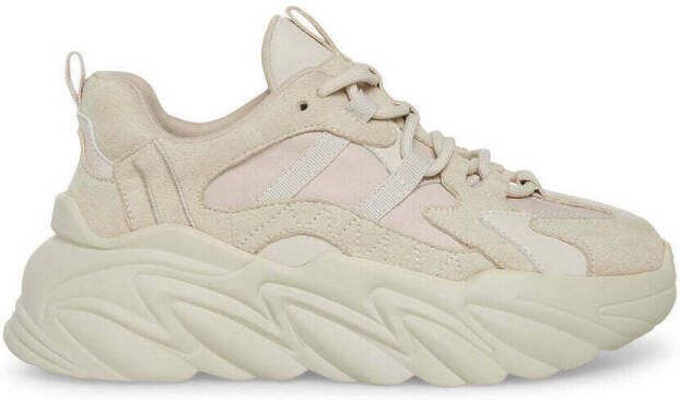 Steve Madden Sneakers Baskets femme Wave