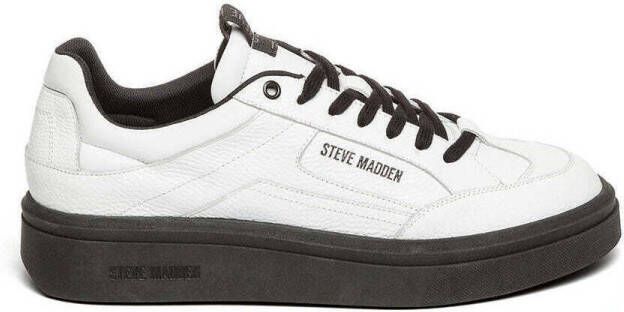 Steve Madden Sneakers Baskets Orlando