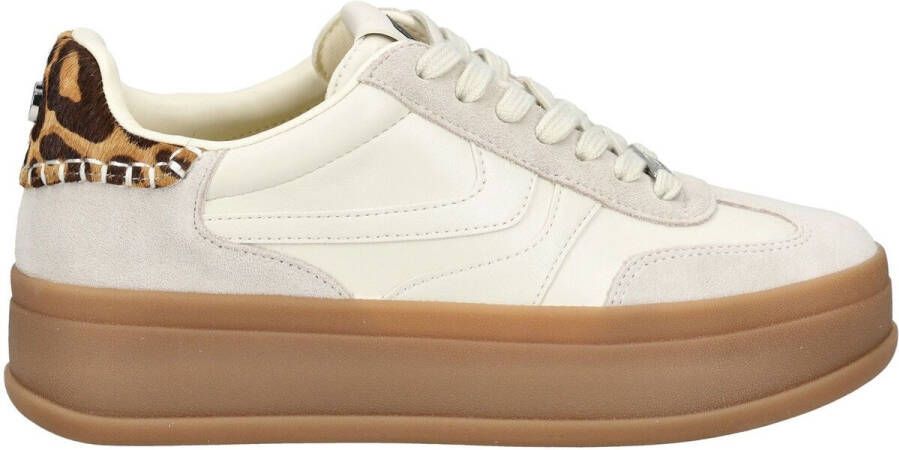 Steve Madden Sneakers Sneaker