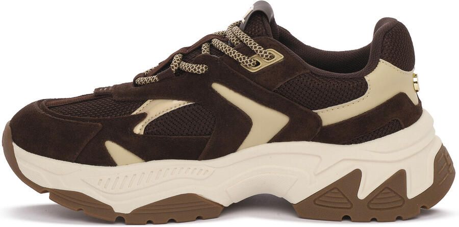 Steve Madden Sneakers AMPLE CHOCOLATE BROWN SUEDE