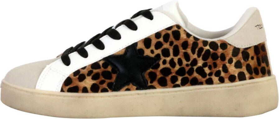 Teddy smith Lage Sneakers 251087
