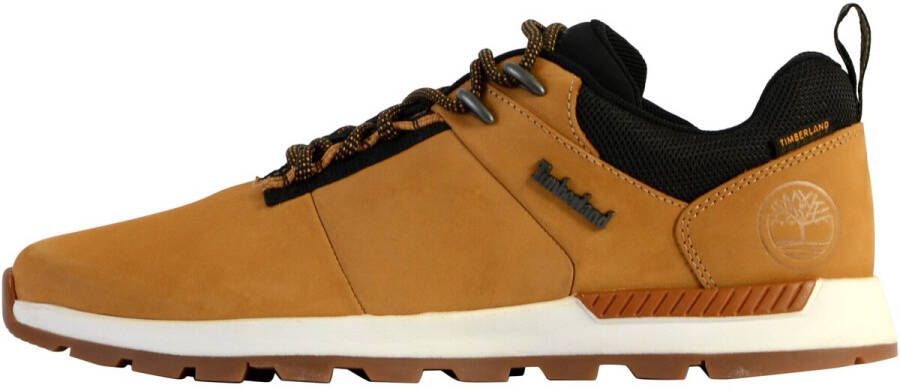 Timberland Lage Sneakers 214856