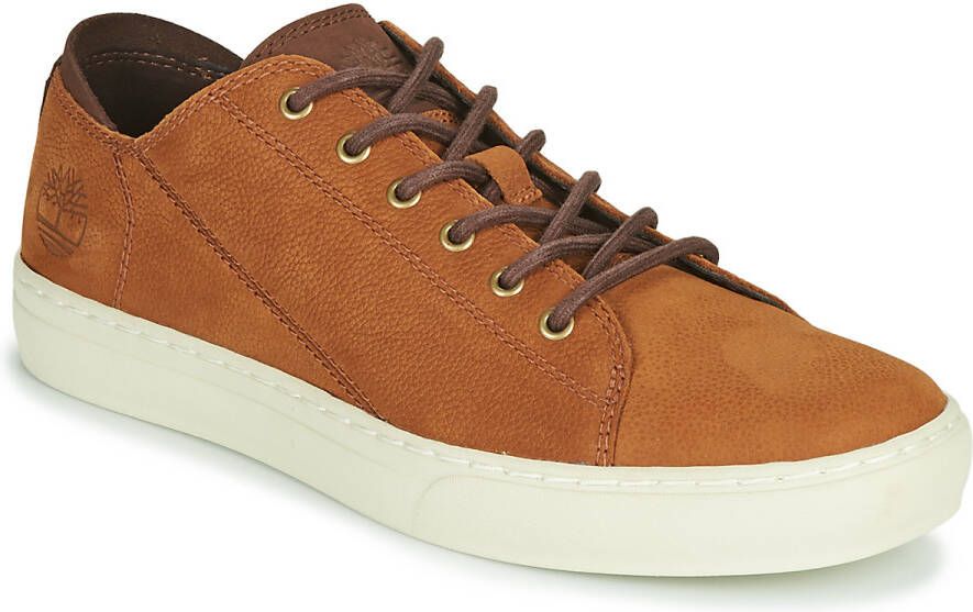 Timberland Lage Sneakers ADV 2.0 CUPSOLE MODERN OX