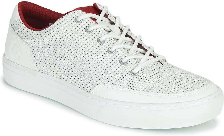 Timberland Witte Lage Sneakers Adventure 2.0 Green Knit Ox - Schoenen.nl