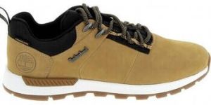 Timberland Nette Schoenen Field Trekker Low Beige