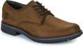 Timberland Nette schoenen STORMBUCKS LACE UP - Bruin