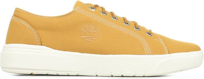 Timberland Sneakers Seneca Bay Canvas Ox