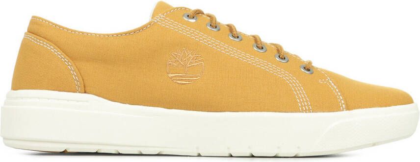 Timberland Sneakers Seneca Bay Canvas Ox