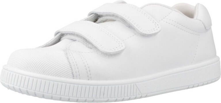 Titanitos Lage Sneakers NEW CRONOS