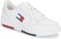 TOMMY JEANS Sneakers TJM RETRO ESS met tommy merkelogo vrijetijdsschoen lage schoen veterschoen - Thumbnail 3