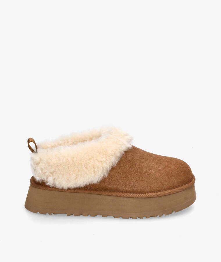 Ugg Pantoffels TAZZELLE