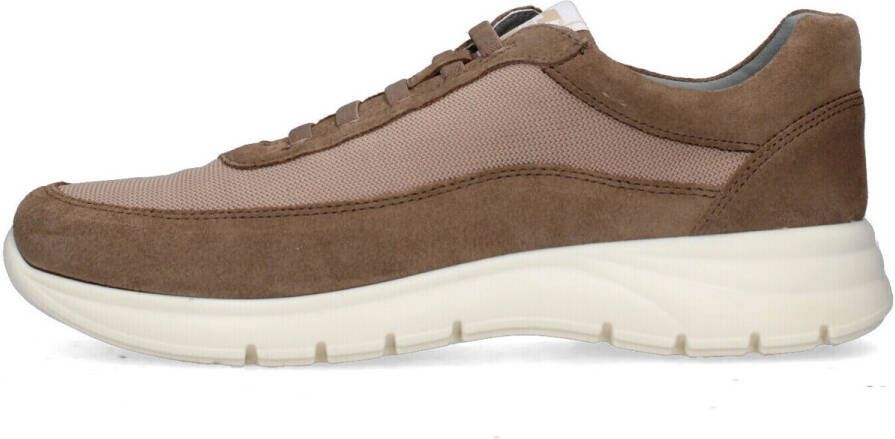 Valleverde Lage Sneakers 360830