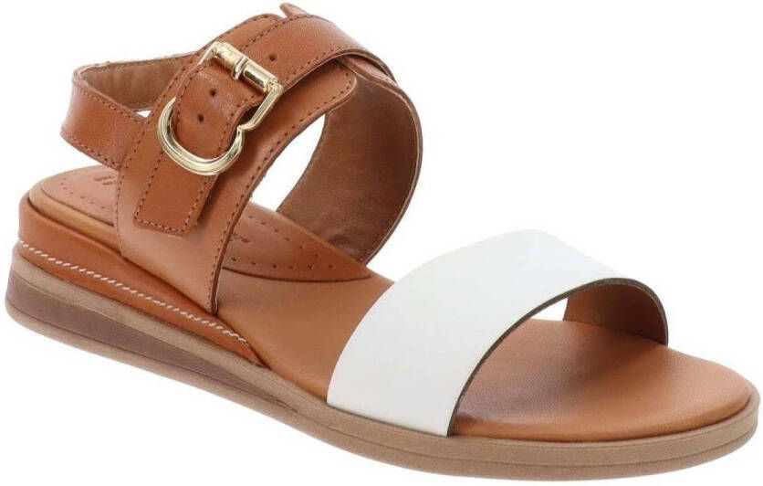 Valleverde Sandalen VV47011