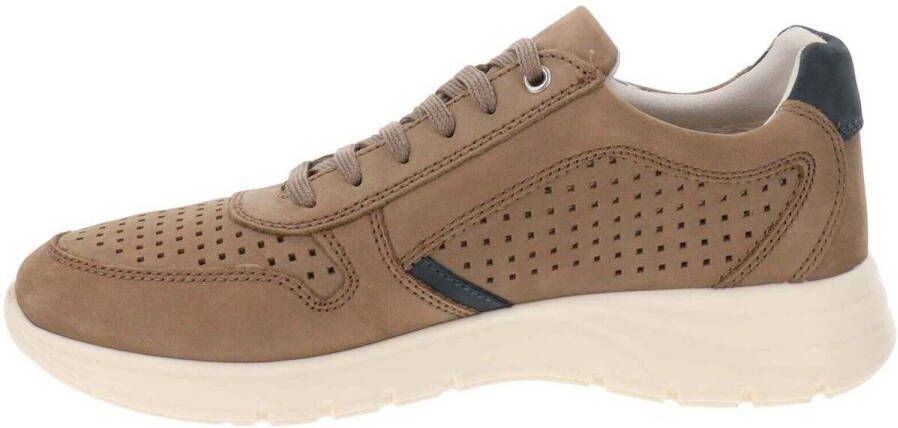 Valleverde Sneakers VV360832