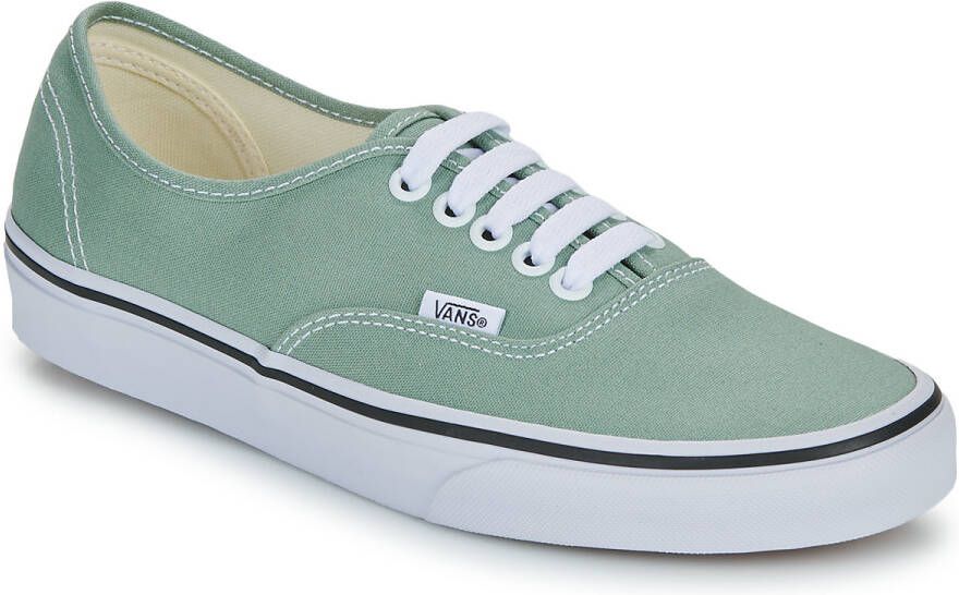 Vans Kleurtheorie Authentieke IJsberg Schoenen Green - Foto 2