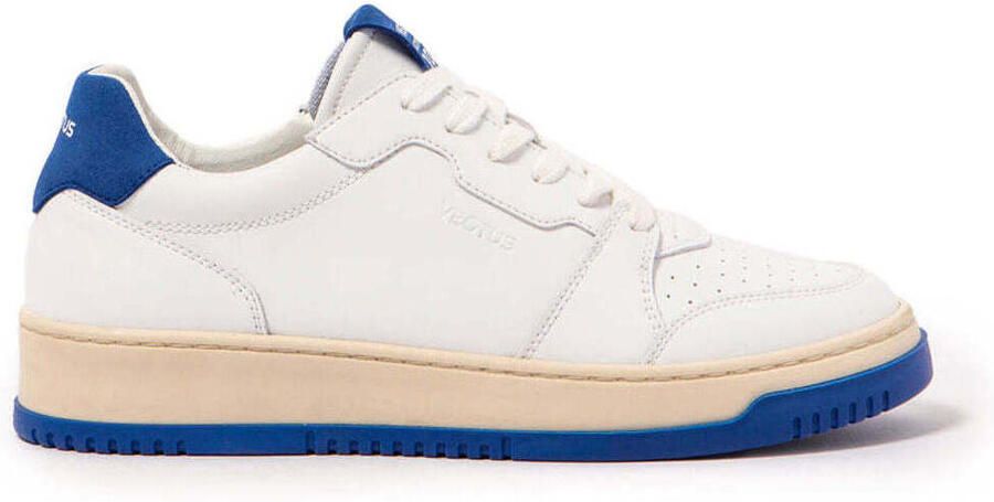 Veja Spider Woman Blauwe Vegan Sneakers Blue Dames