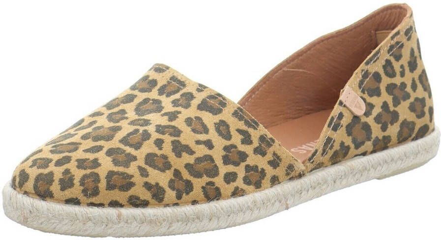 Verbenas Mocassins