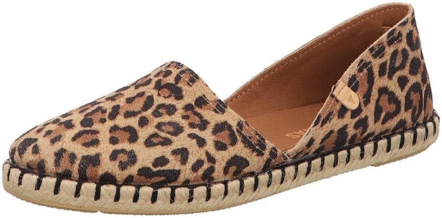 Verbenas Instapper Carmen Leo Bruin - Foto 2