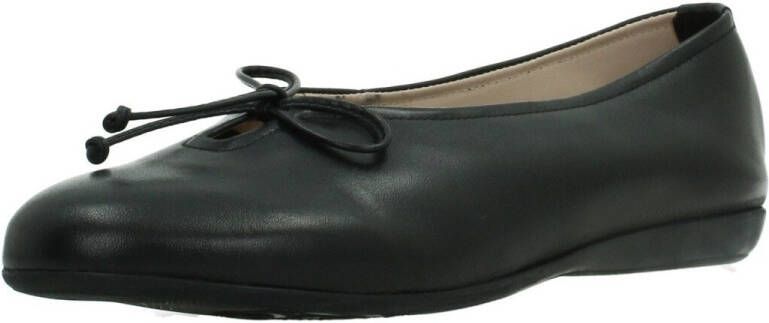 Wonders Ballerina's A61172