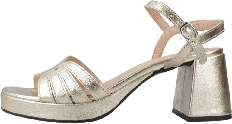 Wonders Pumps G6810