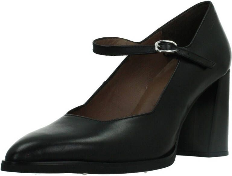 Wonders Pumps ISEO