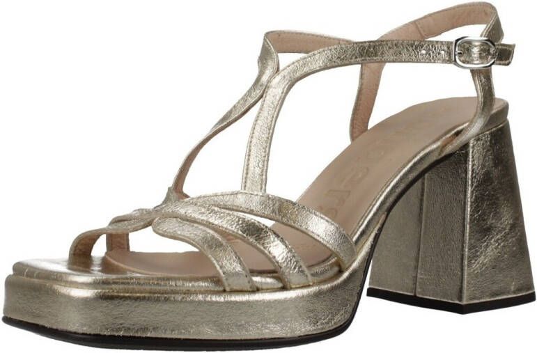 Wonders Pumps M5320