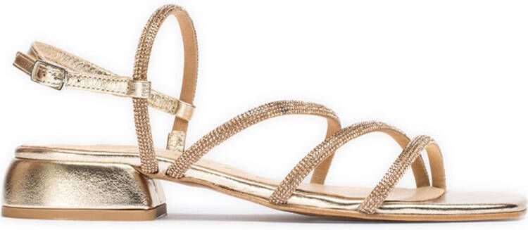 Wonders Sandalen Dione BT-8901 Damessandalen