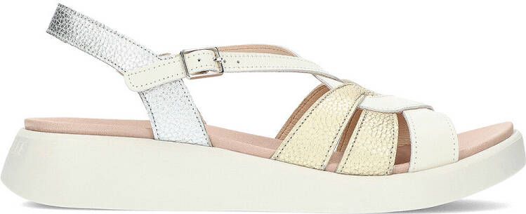 Wonders Sandalen PATERNA C-6530 SANDAAL