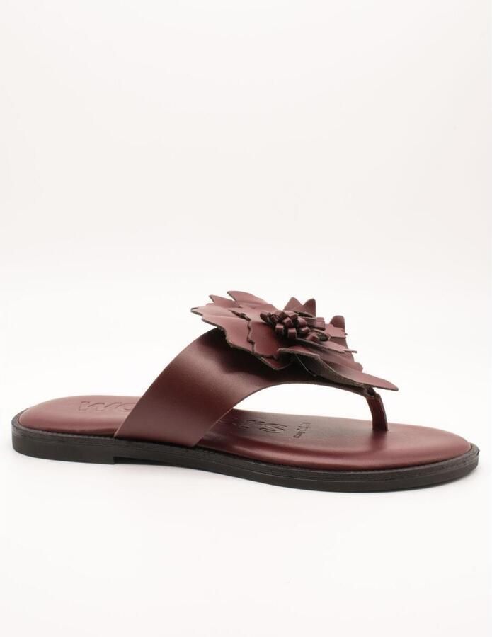 Wonders Platte sandalen AB-1587K
