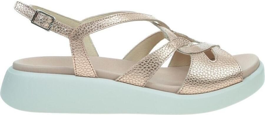 Wonders Platte sandalen C6550