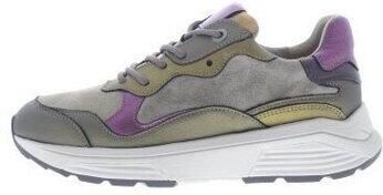 Xsensible Sneakers Rainbow