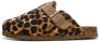 Xti 142871 Klomp LEOPARDO - Thumbnail 2